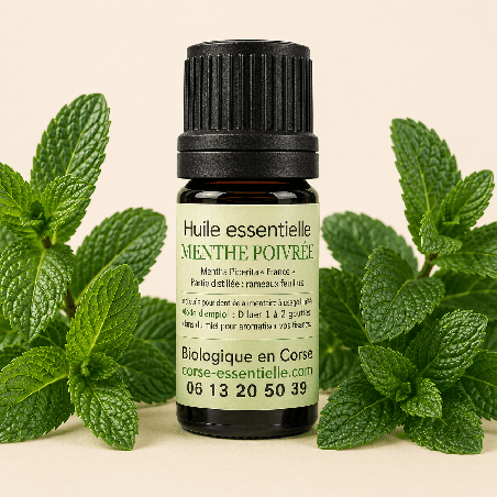 Menthe poivrée
