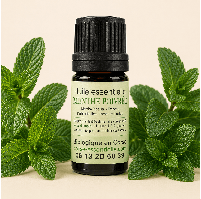 Menthe poivrée
