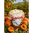 Confiture d'abricot corse
